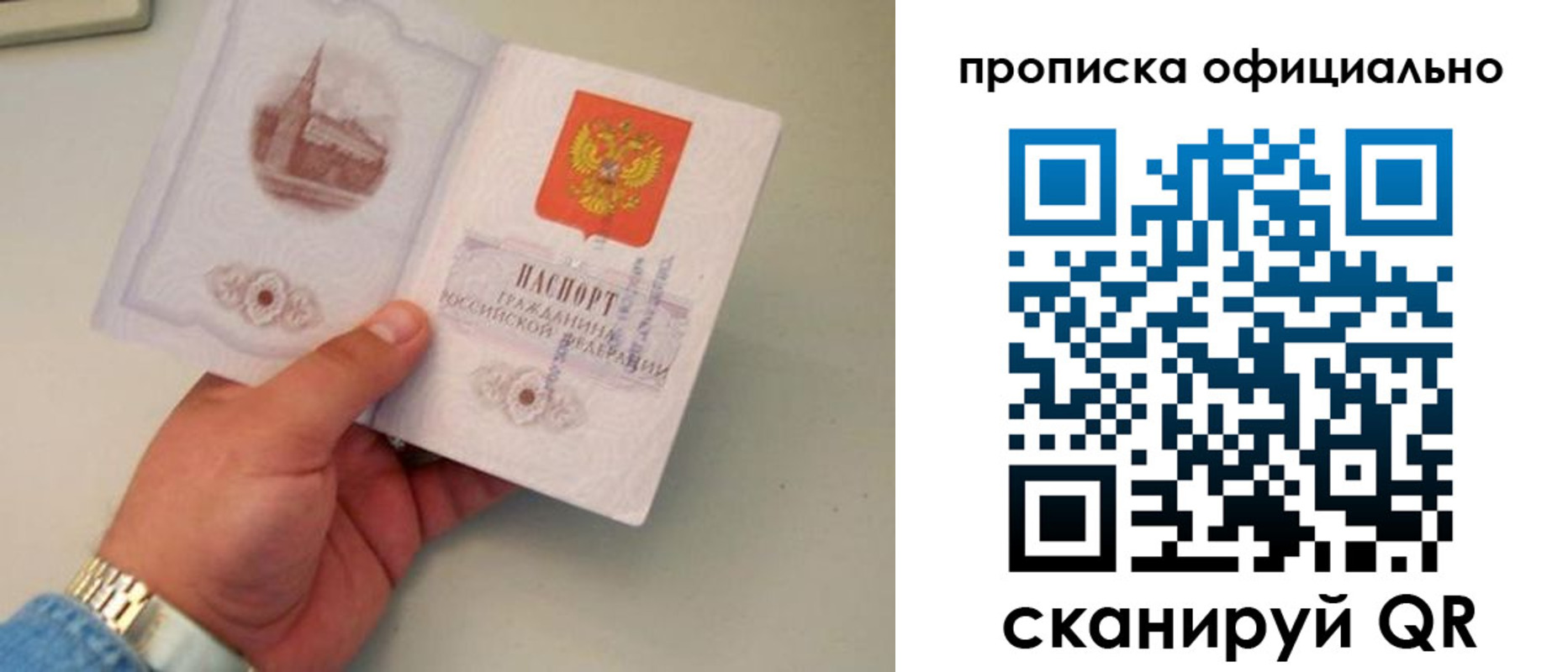 где прописаться в Вязьме